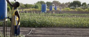 Sustainable_Farming_water_Turkana_Castillo_Canena
