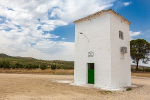 La granja de crisopas