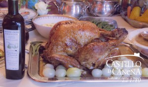Castillo de Canena - thanksgiving turkey