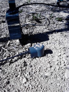 AOVE_EVOO_Sustainability_Sostenibilidad_CastillodeCanena_3 (1)