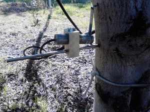AOVE_EVOO_Sustainability_Sostenibilidad_CastillodeCanena_4