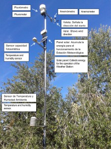 AOVE_EVOO_Sustainability_Sostenibilidad_CastillodeCanena_5