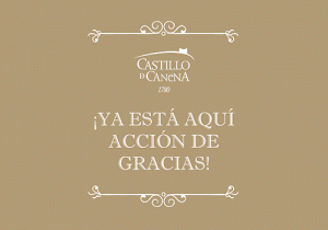 pavo_accion_de_gracias_castillo_de_canena