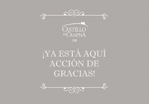 tarta_calabaza_nata_accion_de_gracias_castillo_de_canena