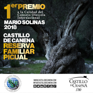 MARIO_SOLINAS_2017_ESP