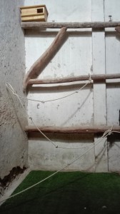 Hacking_Lechuzas_Castillo_de_Canena (1)