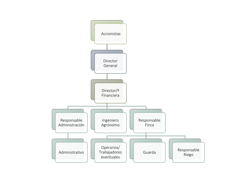 ORGANIGRAMA_CORTIJO_GUADIANA_SL copia