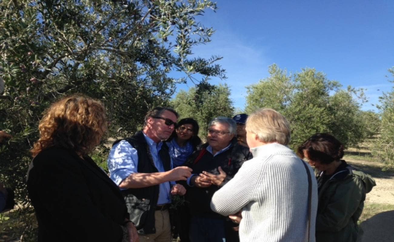 international experts visit Castillo de Canena