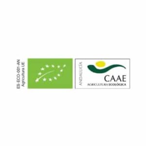 logo caae