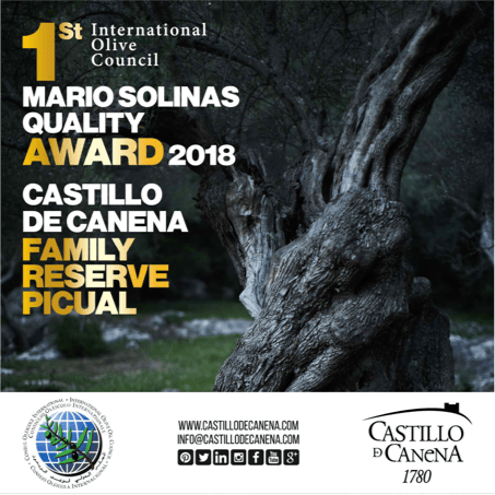 mario solinas award